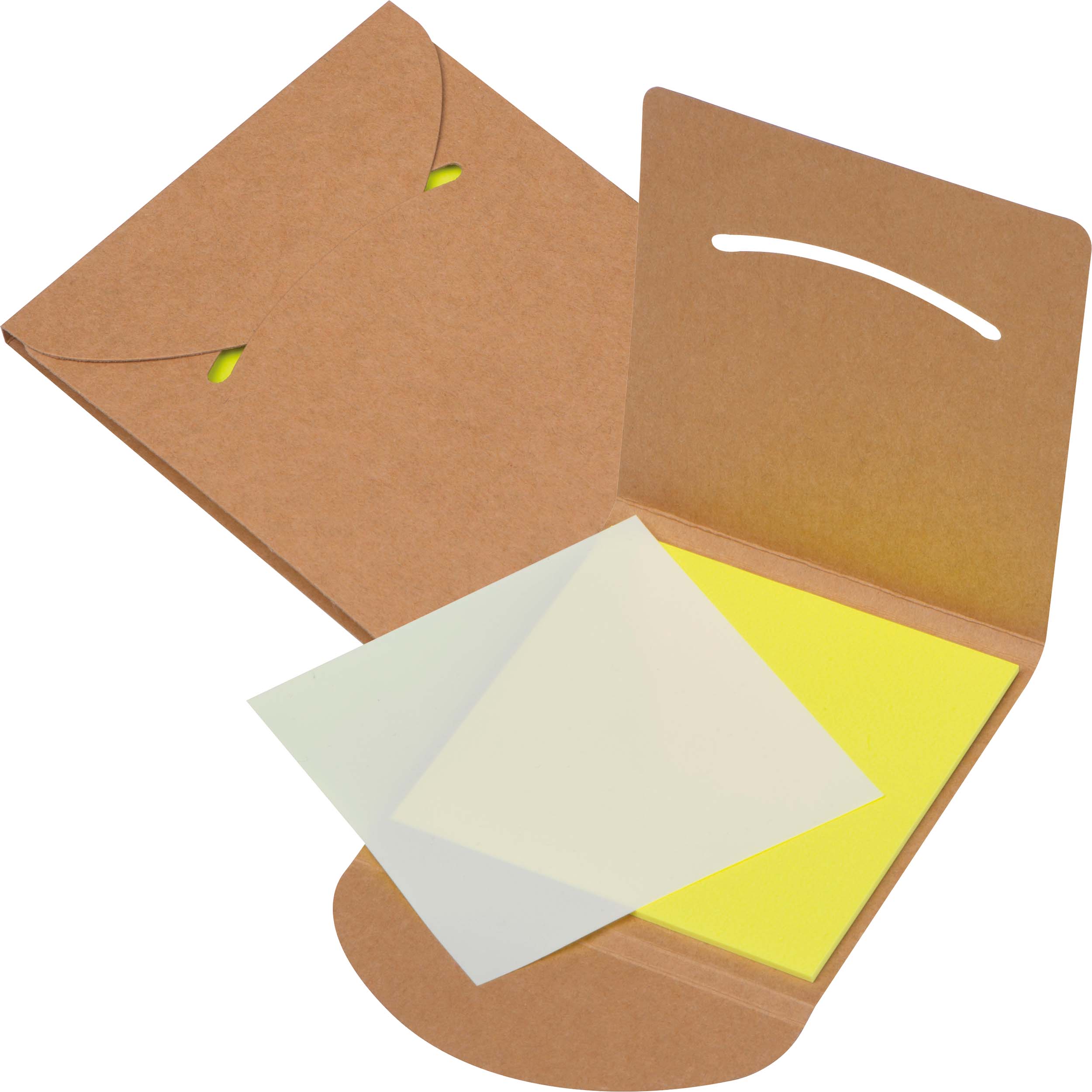 Set di Sticky Notes Riutilizzabili